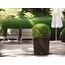 LECHUZA CUBE Cottage 50 All-in-One Set Drinnen/Draußen Topfpflanzer Freistehend Polypropylen (PP) Braun, Farbe: Braun, 3 image