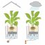 LECHUZA CUBE Cottage 50 All-in-One Set Drinnen/Draußen Topfpflanzer Freistehend Polypropylen (PP) Braun, Farbe: Braun, 8 image