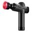 Terraillon Gun Massager Expert Massagegerät Universal Schwarz, 3 image