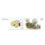 Magnetoplan 15510 Klebefilm-Abroller Kunststoff Transparent, 6 image
