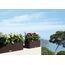 LECHUZA BALCONERA Cottage 50 Draußen Pflanzgefäß Wand-montiert Polypropylen (PP) Grau, Farbe: Grau, 9 image