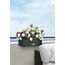 LECHUZA BALCONERA Cottage 50 Draußen Pflanzgefäß Wand-montiert Polypropylen (PP) Braun, 4 image