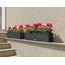 LECHUZA BALCONERA Cottage 80 Draußen Pflanzgefäß Wand-montiert Polypropylen (PP) Braun, Farbe: Braun, 4 image