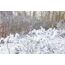 BeamZ SNOW5000 Künstliche Schneemaschine, 16 image