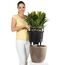 LECHUZA Classico LS 21 Drinnen Topfpflanzer Freistehend Polypropylen (PP) Graubraun, Farbe: Graubraun, 2 image