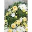 Opiflor 162015 Künstliche Pflanze Drinnen/Draußen Künstliche nicht blühende Pflanze, 2 image