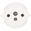 Max Hauri AG 163656 Netzstecker-Adapter Typ C (Euro-Stecker) C13 Weiß, 3 image