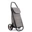 Rolser COH014 Grau Trolley-Tasche