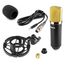 Vonyx CM400B Schwarz, Gold Instrumenten-Mikrofon