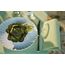 Duni 209665 Platzdeckchen Rechteck Olive 500 Stück(e), Farbe: Olive, 3 image