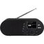 Imperial DABMAN d105 Internet Digital Schwarz