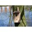 Dobar Beobachtungs-Nistkasten „Einblick“, 6 image