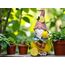 dameco 23122 Gartenfigur Gartenstatue Gnom Polyresin Schwarz, Blau, Grün, Pink, Weiß, Gelb 1 Stück(e), 4 image
