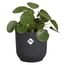 elho vibes fold rund 14cm anthrazit, Farbe: Anthrazit, 2 image