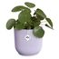 elho vibes fold rund 16cm zartes Lila, Farbe: Lila, 3 image
