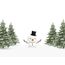 Hoptimist Snowman, 2 image