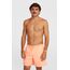 O'Neill Logo 16'' Badeshorts Gelb, 2 image