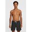 O'Neill Logo 16'' Badeshorts Schwarz, 2 image