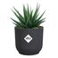 elho vibes fold rund mini 11cm anthrazit, Farbe: Anthrazit, 2 image