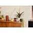 elho jazz rund mini 9cm living schwarz, Farbe: Schwarz, 5 image