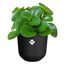 elho jazz rund 14cm living schwarz, 3 image