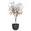 elho 3205106042500 Blumentopf Schwarz Kunststoff 1 Stück(e), 2 image