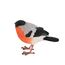 Esschert Design 37000631 Gartenfigur Gartenstatue Vogel Polyresin Mehrfarbig 1 Stück(e), 2 image
