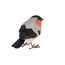 Esschert Design 37000631 Gartenfigur Gartenstatue Vogel Polyresin Mehrfarbig 1 Stück(e), 3 image