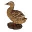 Esschert Design 37000691 Gartenfigur Gartenstatue Vogel Polyresin Mehrfarbig 1 Stück(e), 5 image