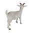 Esschert Design 37000699 Gartenfigur Gartenstatue Tier Polyresin Weiß 1 Stück(e), 4 image