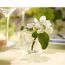 Lyngby Glas 37054 Schnapsglas 60 ml 6 Stück(e), 7 image