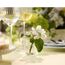 Lyngby Glas 37054 Schnapsglas 60 ml 6 Stück(e), 8 image