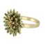 Chic Antique 39126021 Serviettenring Grün, Gold 1