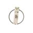 BergHOFF 3950440 Deckel Rund Grau, Transparent, 3 image