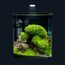 Dennerle Decor Box Bonsai Mehrfarbig, 3 image