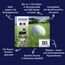 Epson Golf ball 34 Golfball DURABrite Ultra Single Cyan Tinte, 2 image