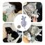 CATLABS 4066355000139 Hunde-/Katzenspielzeug, 2 image