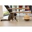 Designed by Lotte Holz Kratzball Holz/Jute Katzenkratzbaum, 6 image