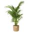 elho b.for soft rund 18cm goldener Sand, Farbe: Sand, 2 image