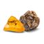 Kosmos Dig Out Fossils, 3 image