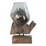 House Nordic 4501050 Dekorative Schüssel Holz Glas, Stahl, Holz