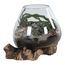 House Nordic San Marino Braun, Transparent Glas, Stahl, Holz