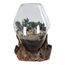 House Nordic San Marino Braun, Transparent Glas, Stahl, Holz, 3 image