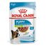 Royal Canin Labrador Retriever Adult