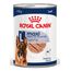 Royal Canin Labrador Retriever Adult
