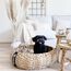 District 70 4630 Hunde-/Katzenbett Korb Haustierbett, 4 image
