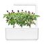 Click & Grow 4742793008745 Wachstums-Set & Nachfüller 3 Stück(e) Chili Starter-Set, 2 image