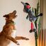 Nobby 50518 Hunde-/Katzenspielzeug, 5 image