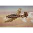 Italeri 1292 maßstabsgetreue modell Flugzeug Montagesatz 1:72, 6 image