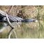 Celestron Regal M2 65ED Spektiv 48x BaK-4 Schwarz, Grün, 8 image